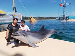 -秦皇岛乐岛海洋王国