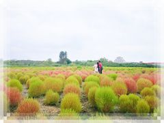 -映月湖中央公园