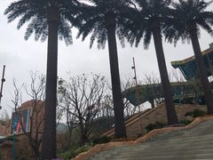 -苏州乐园森林水世界