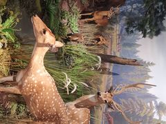 -陕西自然博物馆