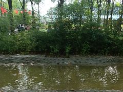 -草根堂农场