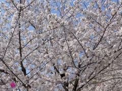 -堤角公园