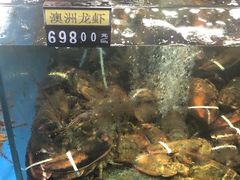 -蟹之国·精品蟹料理(极地店)