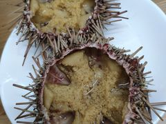 -海胆小馆(东北水饺·春柳店)