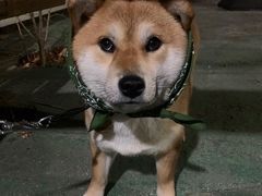 -萌兽医馆·眼科·异宠专科(三里屯店)