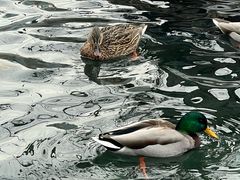 -水磨沟公园