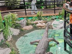 -中山市树木园