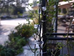 -龙猫意杯花园餐厅(芙蓉湖店)