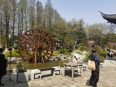 -陈大帅黄桥烧饼(桃园路店)