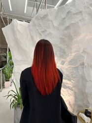-BOF HAIR BY HONTO