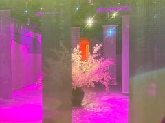 -金陵梦华·宫宴(南京首店)