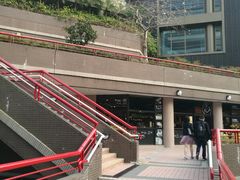 -香港大学