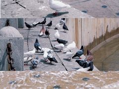 -星海广场