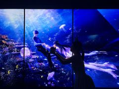 -纯K(打浦桥店)