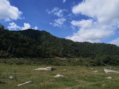 -狮子沟牧场