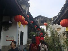 -后柳水乡