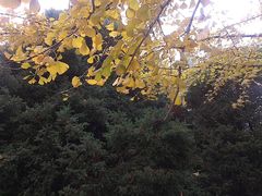 -辽宁大学(崇山校区)