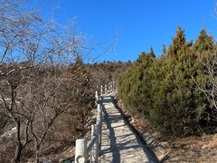 -北京西山国家森林公园