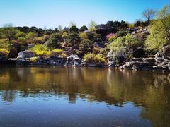 -北京西山国家森林公园