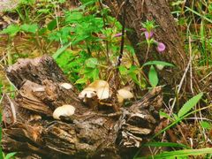 -玉渡山自然风景区