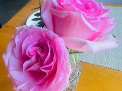 -JANS意式简餐厅·惠灵顿牛排