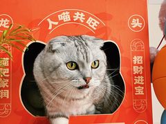 -鱼上·烤鱼(万象城店)