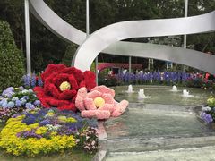 -深圳仙湖植物园