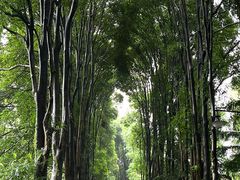 -华南国家植物园-售票处