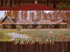 -千年银杏谷文化旅游区