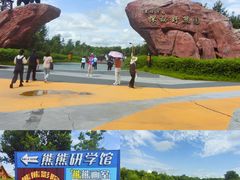 -黑瞎子岛探秘野熊园