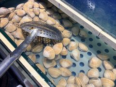 -泰白海鲜烧烤大全