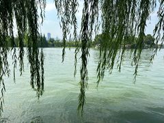 -济南大明湖景区