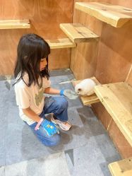 点击看大图 -神奇动物撸宠馆·羊驼·小浣熊·异宠(豫园店)