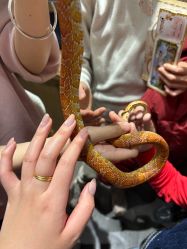 -Zoolung Zoolung动物主题公园(海信广场店)