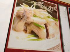 -旺金鸽(穗盐路总店)