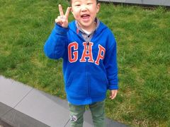 iphone_upload_pic-上海市公安局出入境管理总队