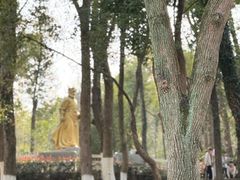 -青龙山国家森林公园
