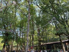 -WeLope紫金山探险公园