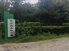 -长白岛森林公园