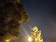 -聚龙山公园