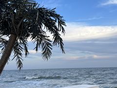 -北戴河转鱼·炒螃蟹酱餐厅