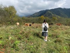 -石棉县孟获城