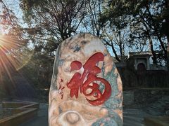 -北京鹫峰国家森林公园
