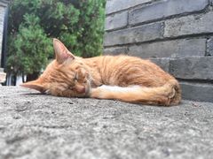 -李叔同故居纪念馆