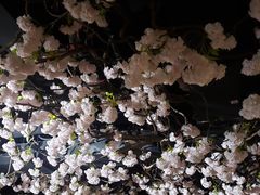 -星河湾温泉洗浴酒店