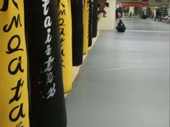 -拳义格斗搏击散打泰拳拳击俱乐部(裕华店)