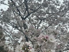 -堤角公园