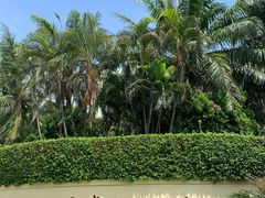 -三亚亚龙湾天域度假酒店