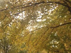 -辽宁大学(崇山校区)