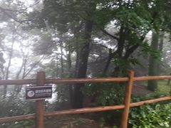 -王莽岭风景区